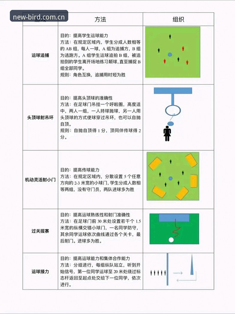 玩转小鸟体育CN版的5个实用技巧，老用户亲测有效